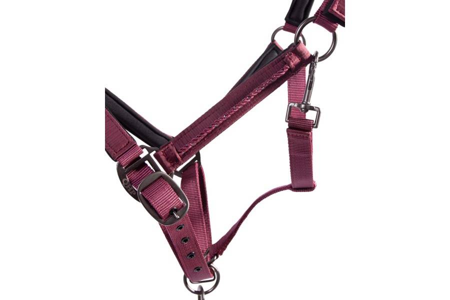 Cabezada Cuadra QHP + Ramal Lily Burdeos | Equestrian. Calvet Animals i