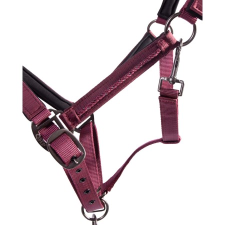 Cabezada Cuadra QHP + Ramal Lily Burdeos | Equestrian. Calvet Animals i