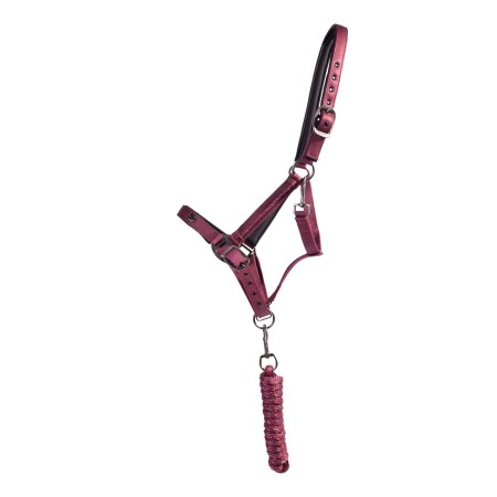 Morralla Quadra QHP + Ramal Lily Burdeos |Cavall i Genet a Equestrian