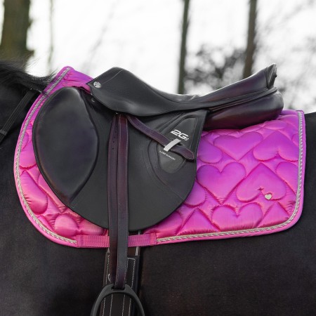 Suador Us General Valentine Rosa |Cavall i Genet a Equestrian, Calvet