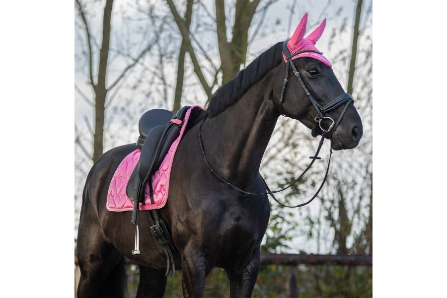 Suador Us General Valentine Rosa |Cavall i Genet a Equestrian, Calvet