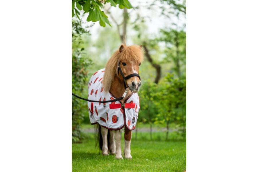 Manta Cavall Estiu Antimosques HKM Marietes |Cavall i Genet a Equestrian