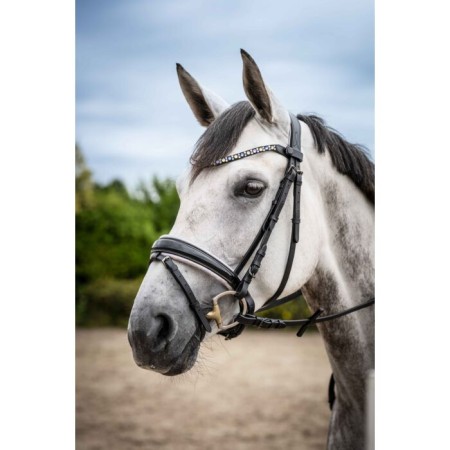 Frontalera HKM Eliana Lila Fosc |Cavall i Genet a Equestrian, Calvet