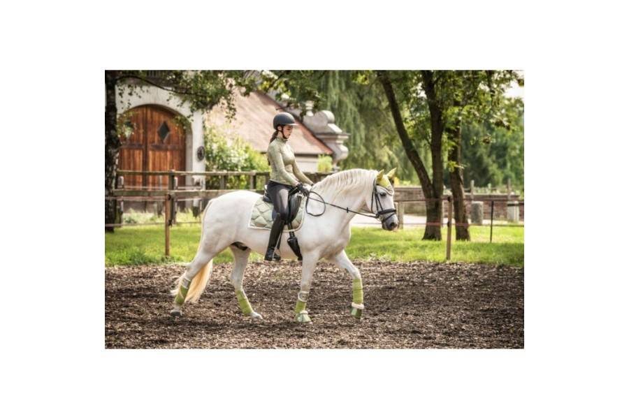 Suador Doma HKM Edinburgh Festuc |Cavall i Genet a Equestrian, Calvet