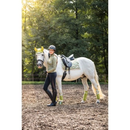 Benes Polar HKM Edinburgh Festuc |Cavall i Genet a Equestrian, Calvet