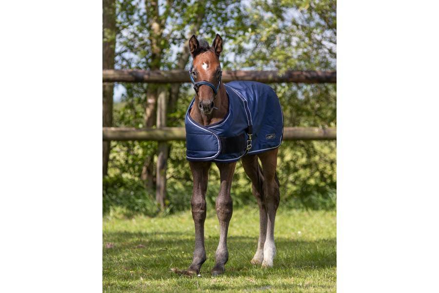 Manta Cavall Exterior QHP Potro 600D 100gr Blau Marí |Cavall i Genet a