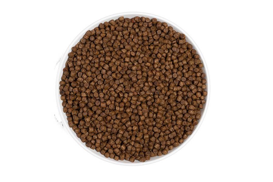 Era Centurion Grain Free Cat Kitten para gatos | Calvet Animales y Plantas
