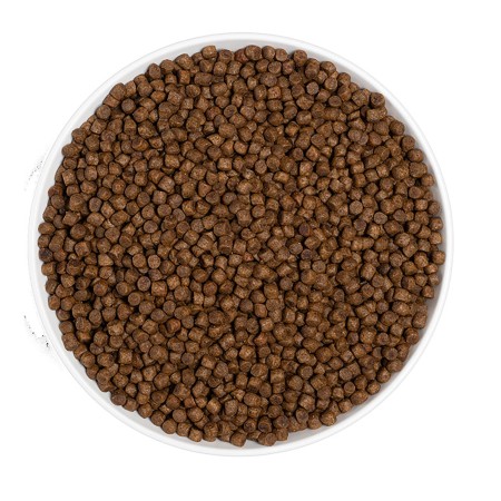 Era Centurion Grain Free Cat Kitten para gatos | Calvet Animales y Plantas