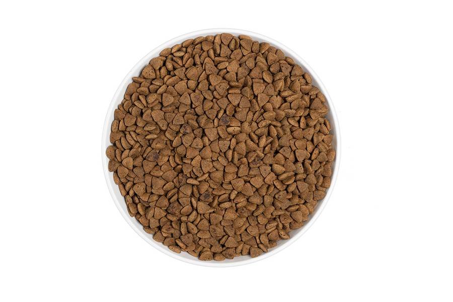 Era Centurion Grain Free Cat Adult per gats | Calvet Animals i Plantes