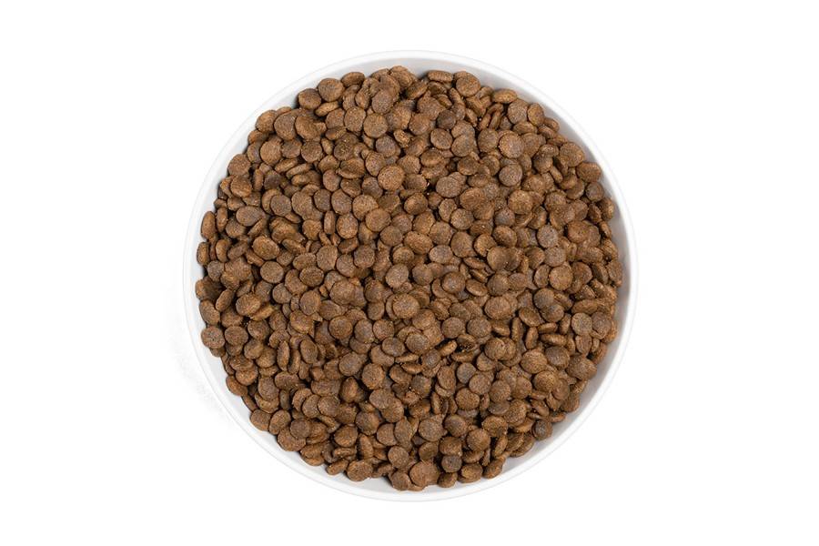Era Centurion Grain Free Cat Sensitive para gatos | Calvet Animales y Plantas