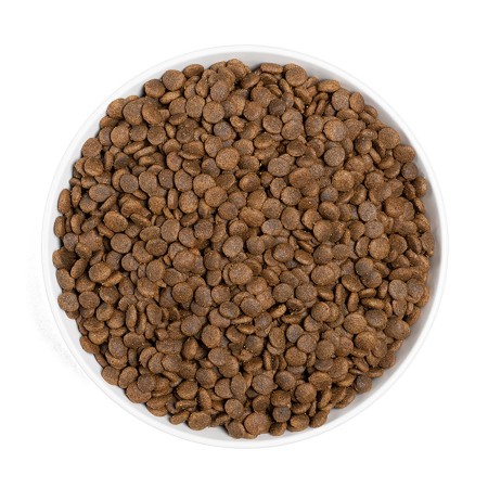 Era Centurion Grain Free Cat Sensitive para gatos | Calvet Animales y Plantas