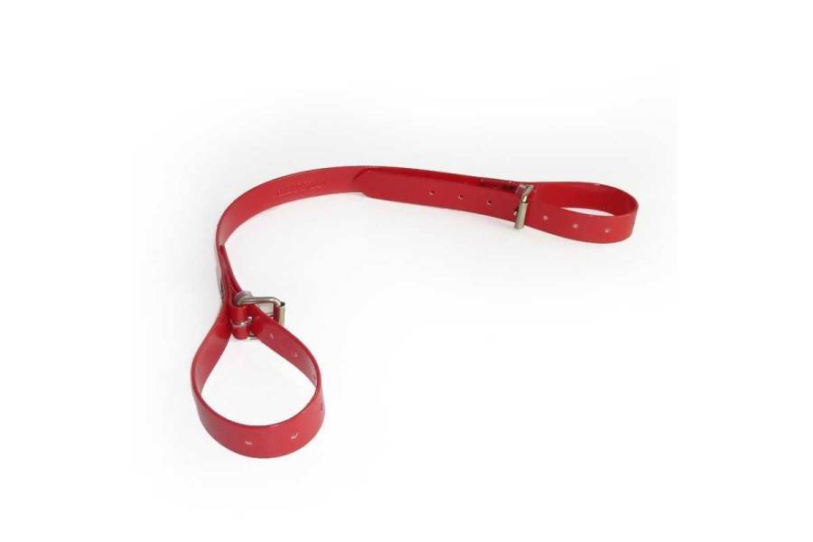 Correa Ramassage Biothane Vermella |Cavall i Genet a Equestrian, Calvet