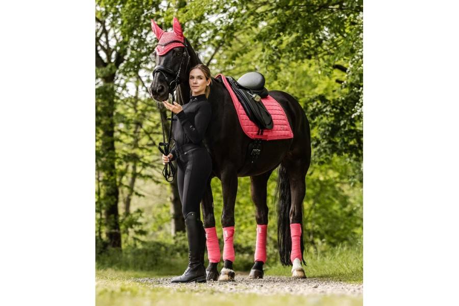 Suador Doma Waldhausen Florenz Hibiscus |Cavall i Genet a Equestrian