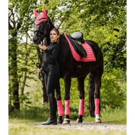 Suador Doma Waldhausen Florenz Hibiscus |Cavall i Genet a Equestrian