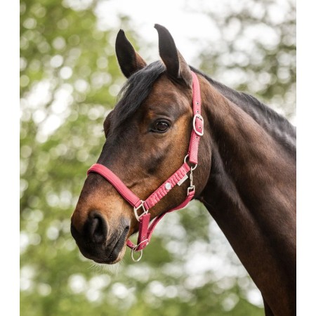 Morralla Quadra Waldhausen Florenz Hibiscus |Cavall i Genet a Equestrian