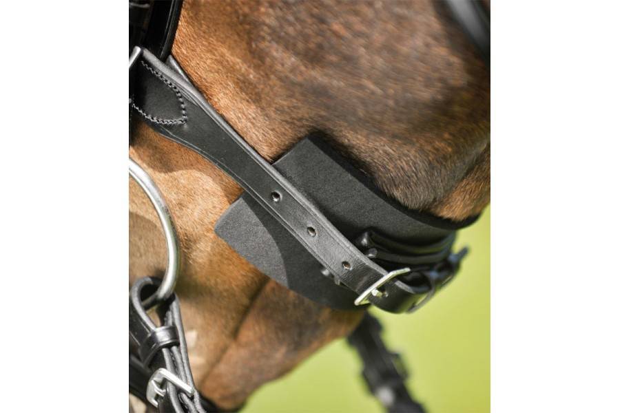 Protector Muserola Waldhausen Negra |Cavall i Genet a Equestrian, Calvet