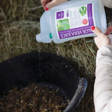 KM Elite Aloe Vera 1 L |Cavall i Genet a Equestrian, Calvet Animal i