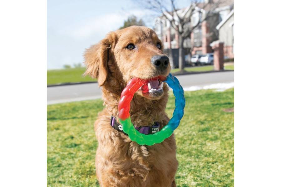 Juguete Perro Kong Aro Twistz para perros | Calvet Animales y Plantas