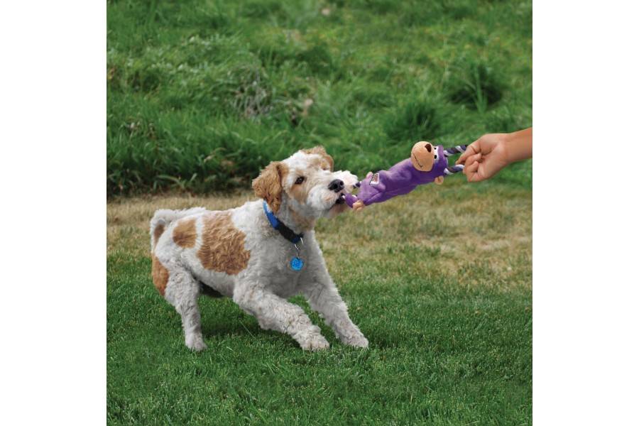 Juguete Perro Kong Knots Moose para perros | Calvet Animales y Plantas