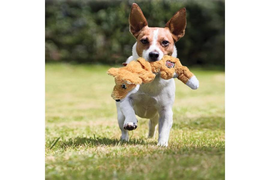 Juguete Perro Kong Knots Racoon para perros | Calvet Animales y Plantas