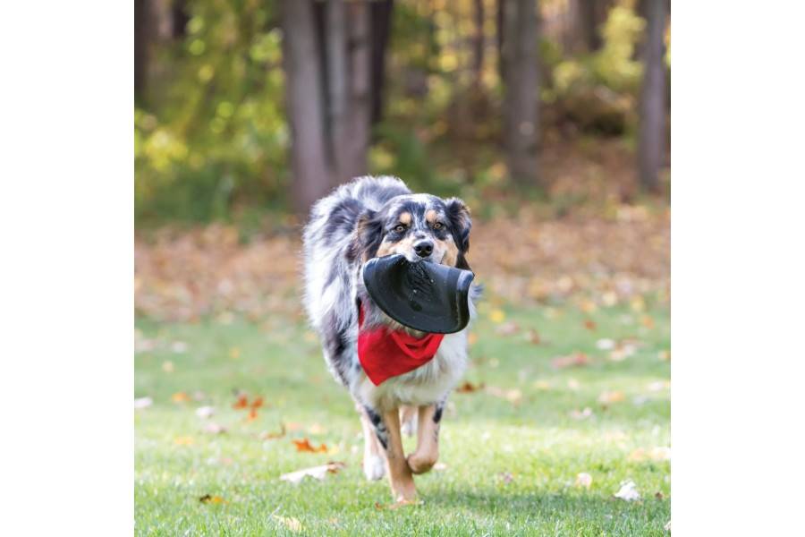 Joguina Gos Kong Exterme Flyer per gossos | Calvet Animals i Plantes