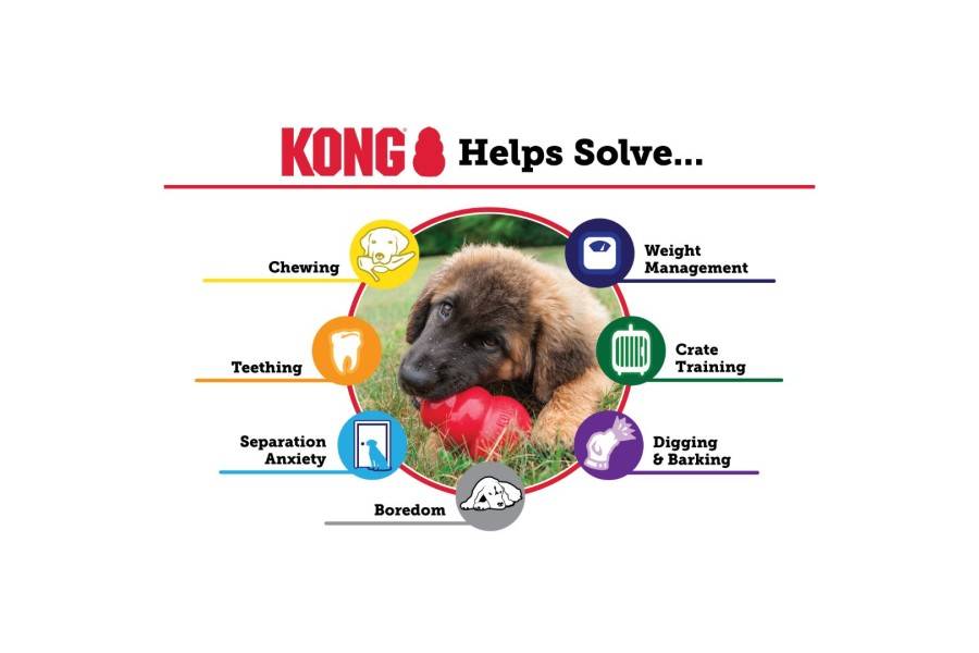 Juguete Perro Kong Puppy para perros | Calvet Animales y Plantas