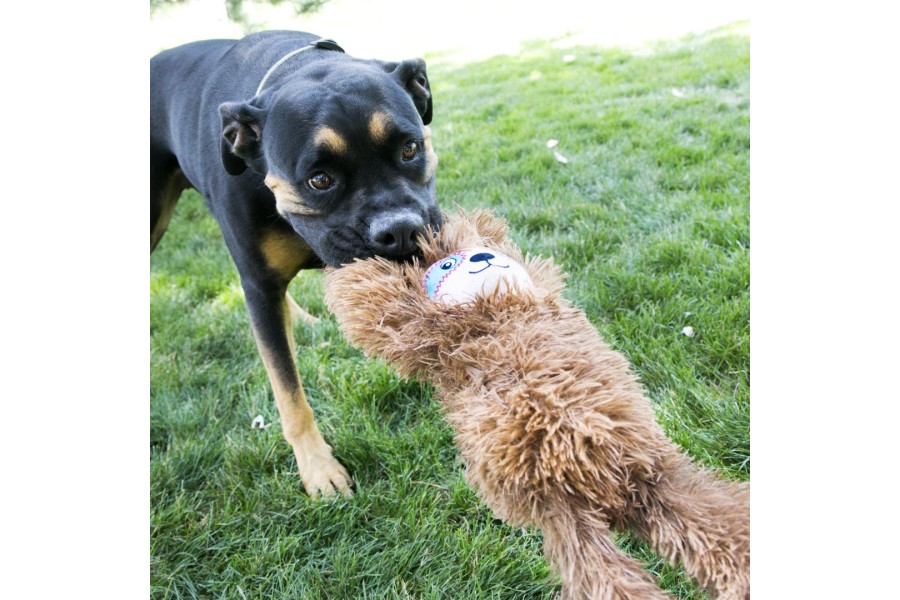 Juguete Perro Kong Tuggz Perezoso para perros | Calvet animals i plantes