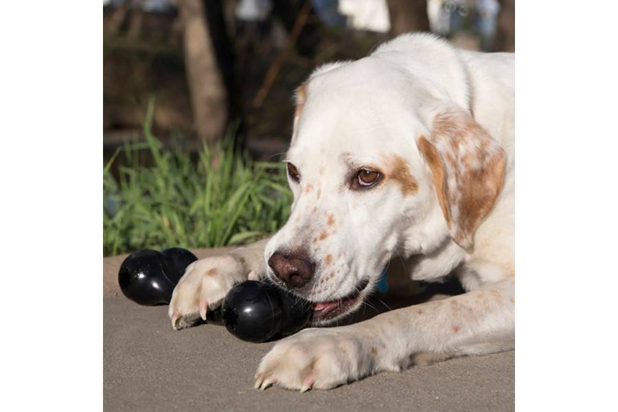 Hueso Kong Extreme Goodie Bone para perros | Calvet Animales y Plantas