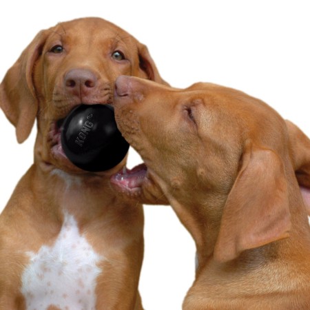 Juguete Perro Kong Extreme Ball para perros | Calvet Animales y Plantas 2