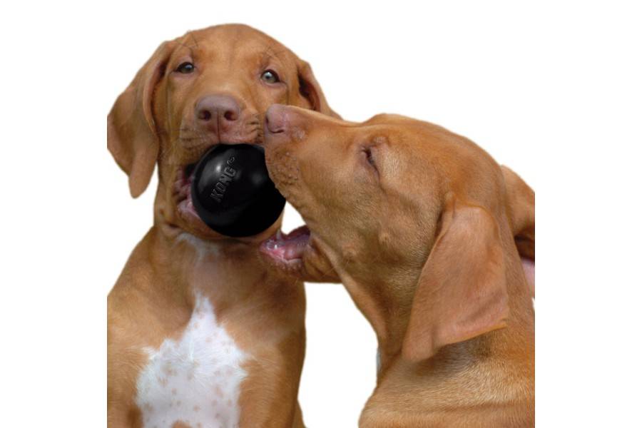 Juguete Perro Kong Extreme Ball para perros | Calvet Animales y Plantas