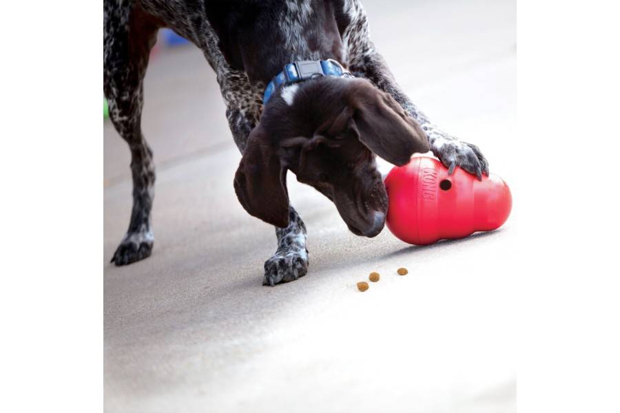 Juguete Perro Kong Wobbler para perros | Calvet Animales y Plantas