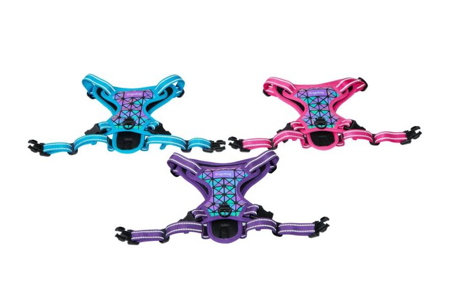 Arnés Freedog Boreal Azul Capri para perros | Calvet Animales y Plantas