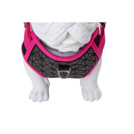 Arnés Freedog Boreal Fucsia para perros | Calvet Animales y Plantas