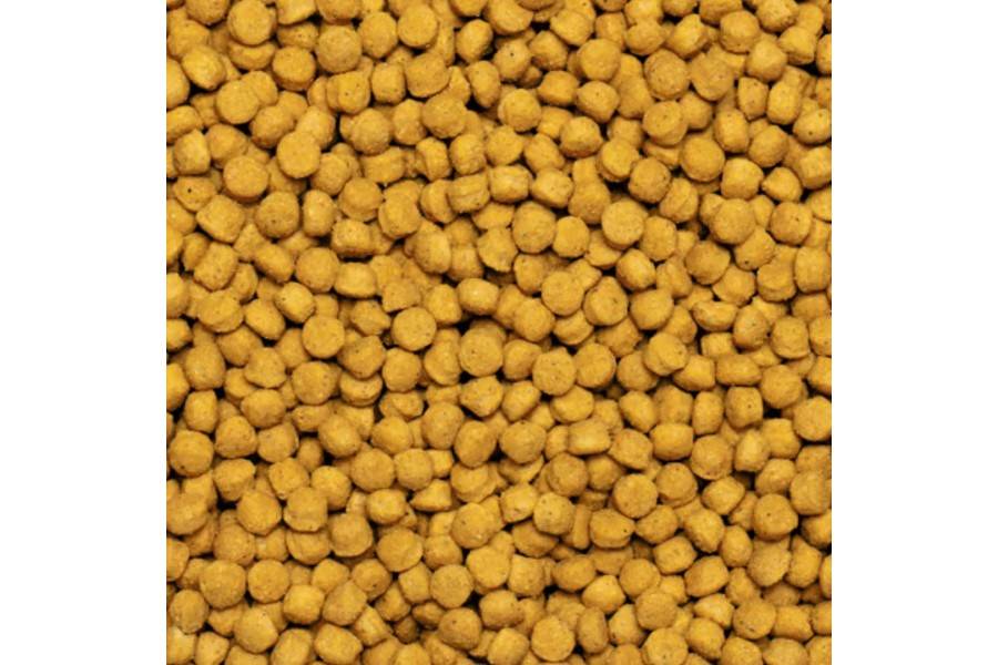 Psittacus Pienso Alta Proteïna | Tot per la teva mascota | Calvet Animal i