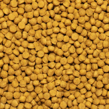 Psittacus Pienso Alta Proteïna | Tot per la teva mascota | Calvet Animal i