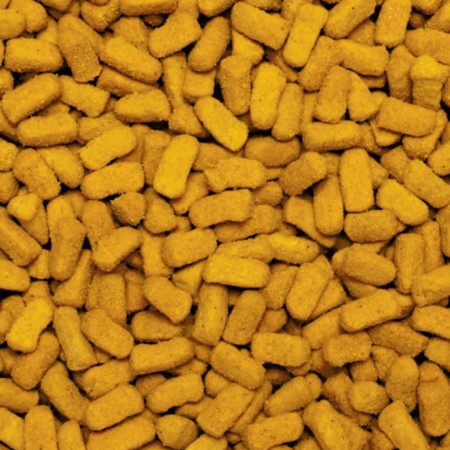 Psittacus Pienso Omega | Tot per la teva mascota | Calvet Animal i Plantes 2