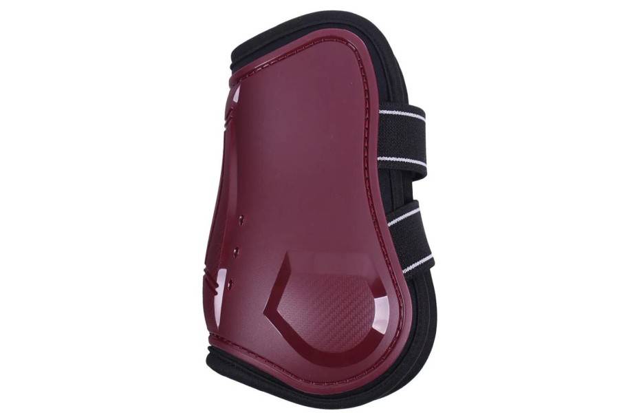 Protectors Darrera QHP Champion Bordeus |Cavall i Genet a Equestrian