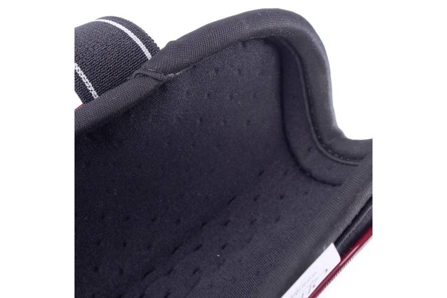 Protectors Darrera QHP Champion Bordeus |Cavall i Genet a Equestrian