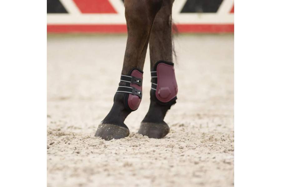 Protectores Traseros QHP Champion Bordeus | Equestrian. Calvet Animals i