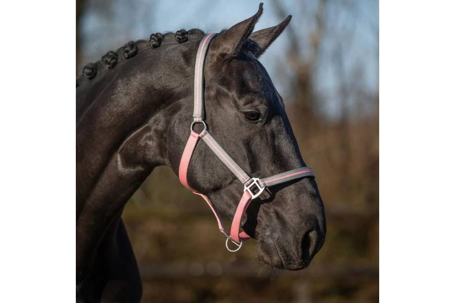 Morralla Quadra QHP Flore Rosa Flamingo |Cavall i Genet a Equestrian