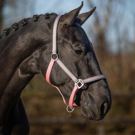 Cabezada Cuadra QHP Flore Rosa Flamingo | Equestrian. Calvet Animals i