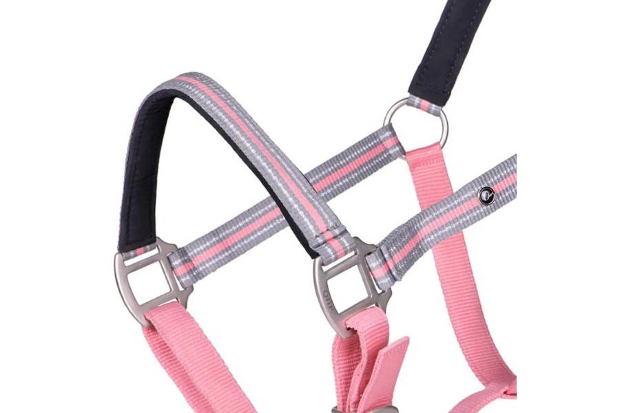 Cabezada Cuadra QHP Flore Rosa Flamingo | Equestrian. Calvet Animals i