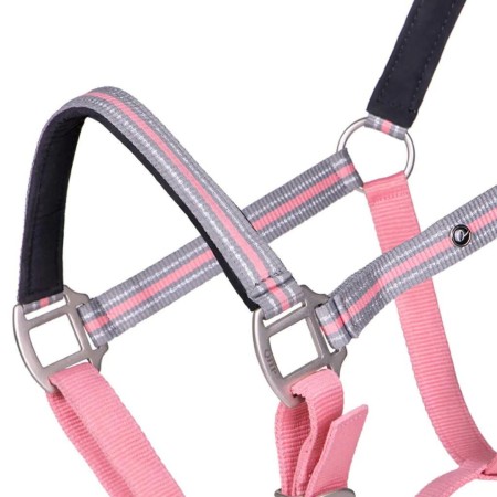 Cabezada Cuadra QHP Flore Rosa Flamingo | Equestrian. Calvet Animals i