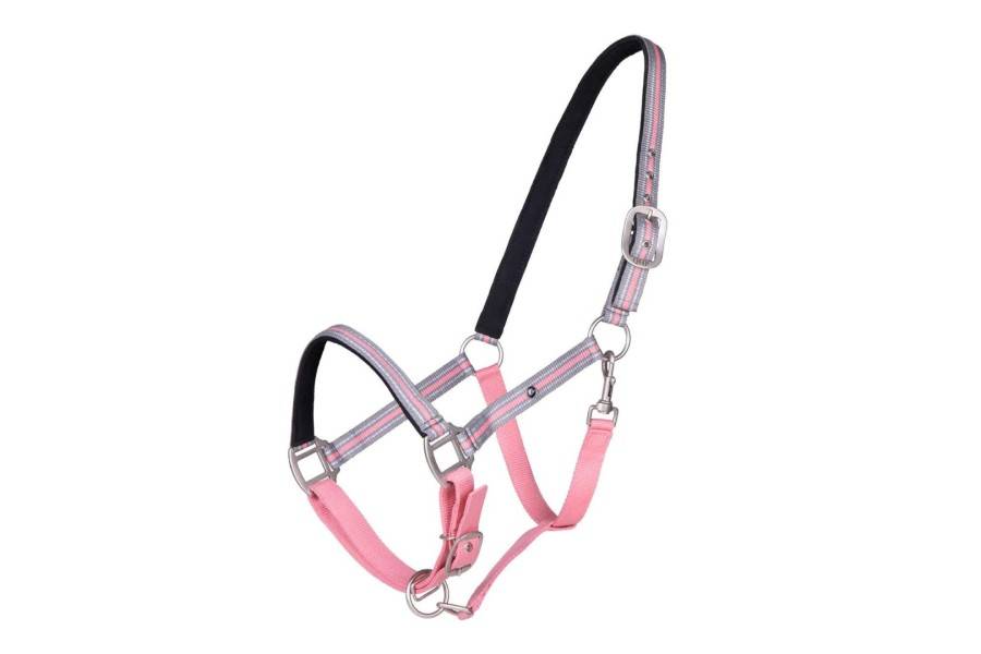 Cabezada Cuadra QHP Flore Rosa Flamingo | Equestrian. Calvet Animals i