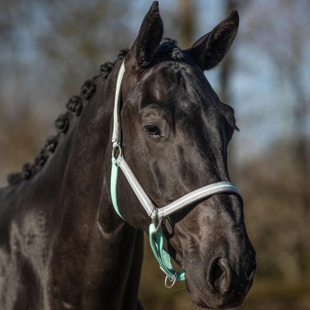 Morralla Quadra QHP Flore Verd Ice |Cavall i Genet a Equestrian, Calvet