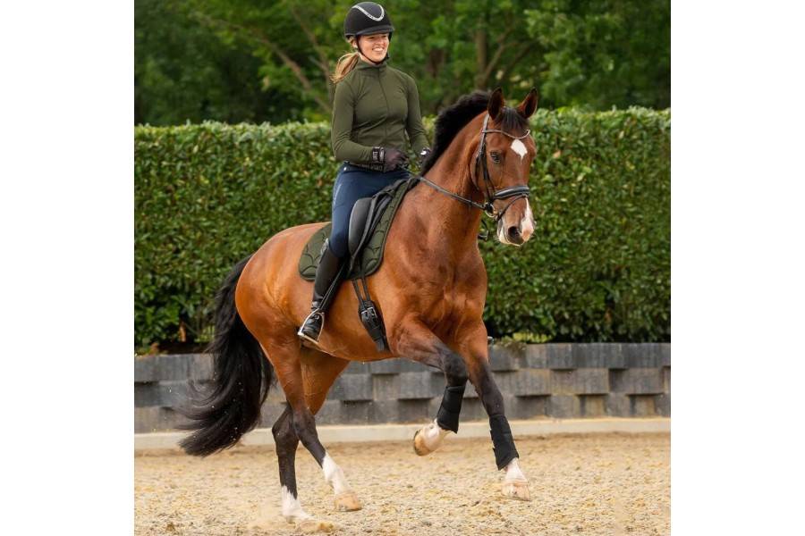 Protectors QHP Jorine Negre |Cavall i Genet a Equestrian, Calvet Animal i