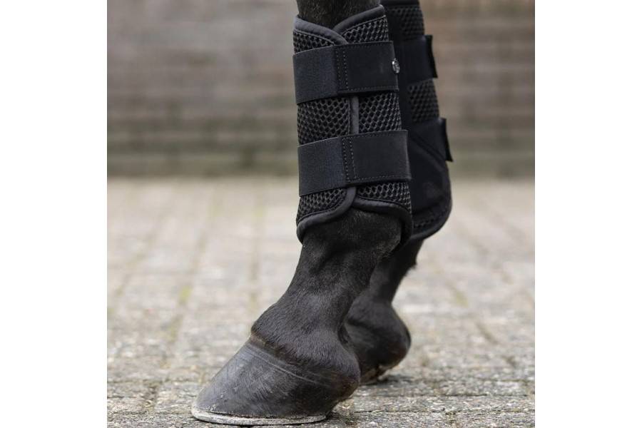 Protectors QHP Jorine Negre |Cavall i Genet a Equestrian, Calvet Animal i