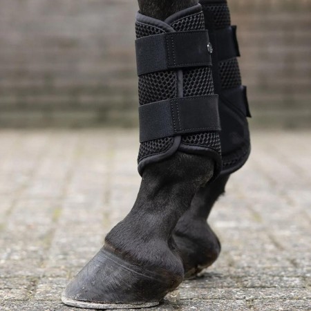 Protectors QHP Jorine Negre |Cavall i Genet a Equestrian, Calvet Animal i