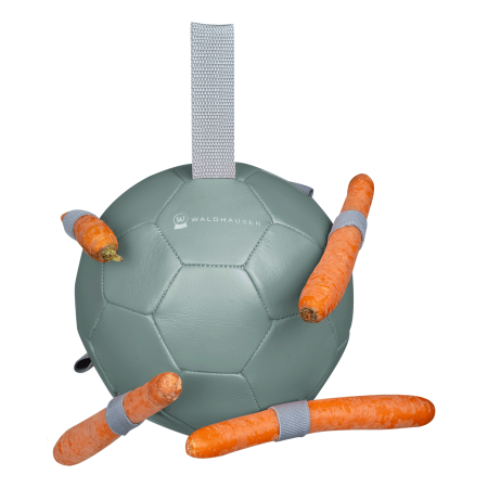 Pelota Caballo Para Zanahoria Verde | Equestrian. Calvet Animals i Plantes.