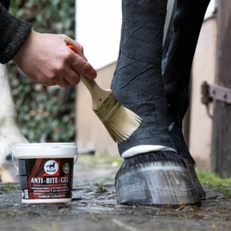 Antimordeduras Gel Leovet | Equestrian | Calvet Animales y Plantas 2